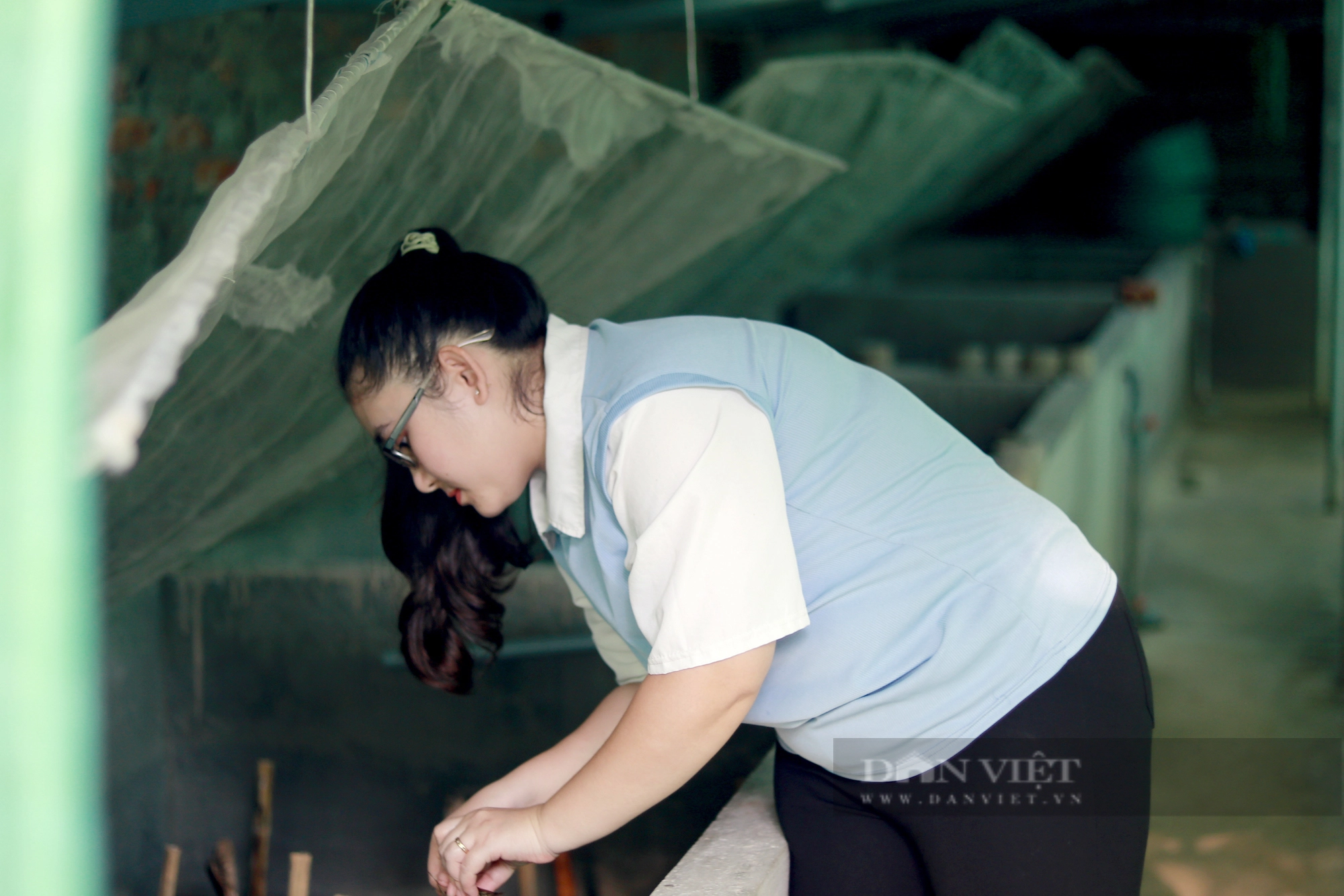 Cô gái trẻ ở Hà Tĩnh gác lại bằng đại học, bật mí cách kiếm tiền tỷ mỗi năm nhờ con cà cuống - Ảnh 9.