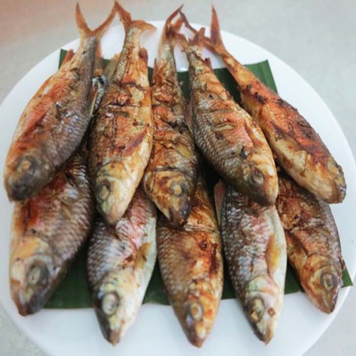 Dòng sông Giăng nổi tiếng Nghệ An có loài cá còn nổi tiếng hơn, ăn như tẩm bổ, lợi tiêu hóa, giúp sáng mắt - Ảnh 5.