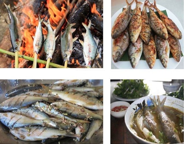 Dòng sông Giăng nổi tiếng Nghệ An có loài cá còn nổi tiếng hơn, ăn như tẩm bổ, lợi tiêu hóa, giúp sáng mắt - Ảnh 7.