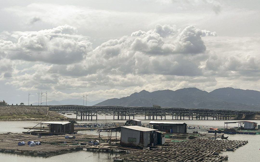 Xung quanh một cây cầu nổi tiếng ở Cam Ranh, ngành chức năng đang di dời các lồng bè nuôi thủy sản tự phát