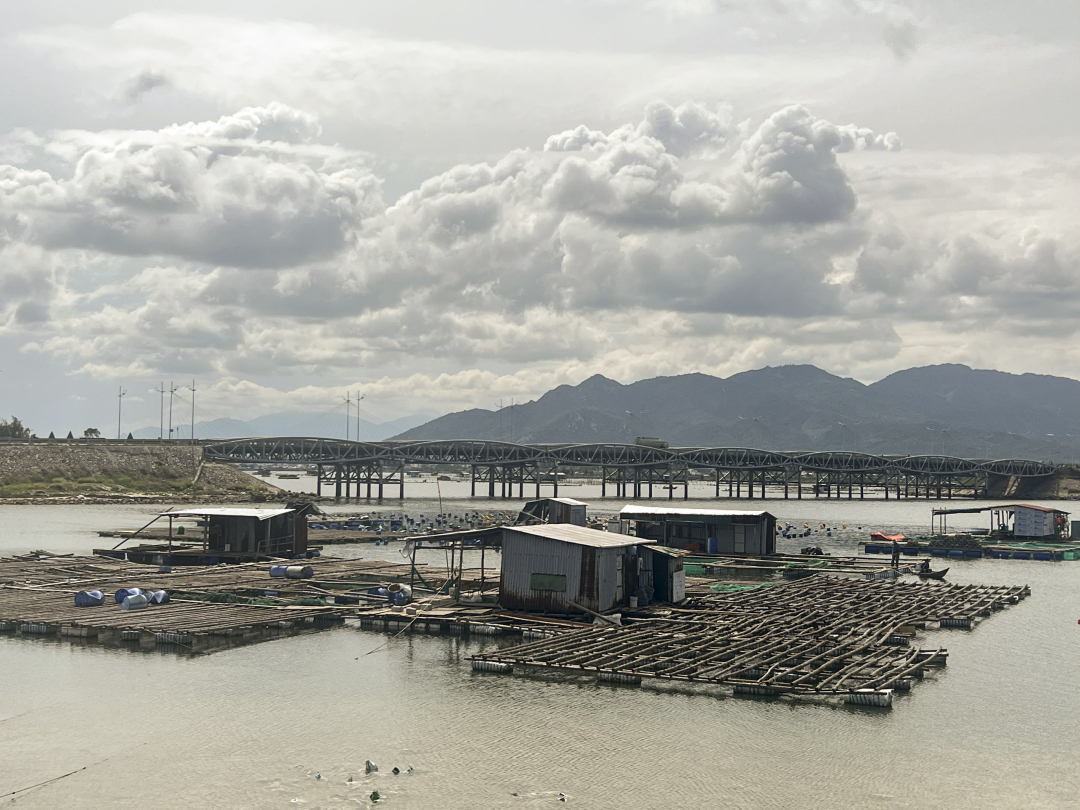 Xung quanh một cây cầu nổi tiếng ở Cam Ranh, ngành chức năng đang di dời các lồng bè nuôi thủy sản tự phát - Ảnh 1.