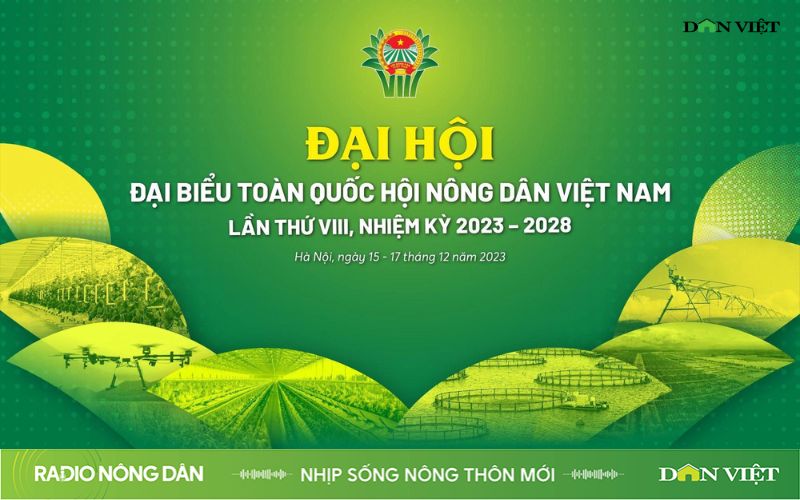 Nhịp sống Nông thôn mới ngày 11/11/2023 - Ảnh 1.