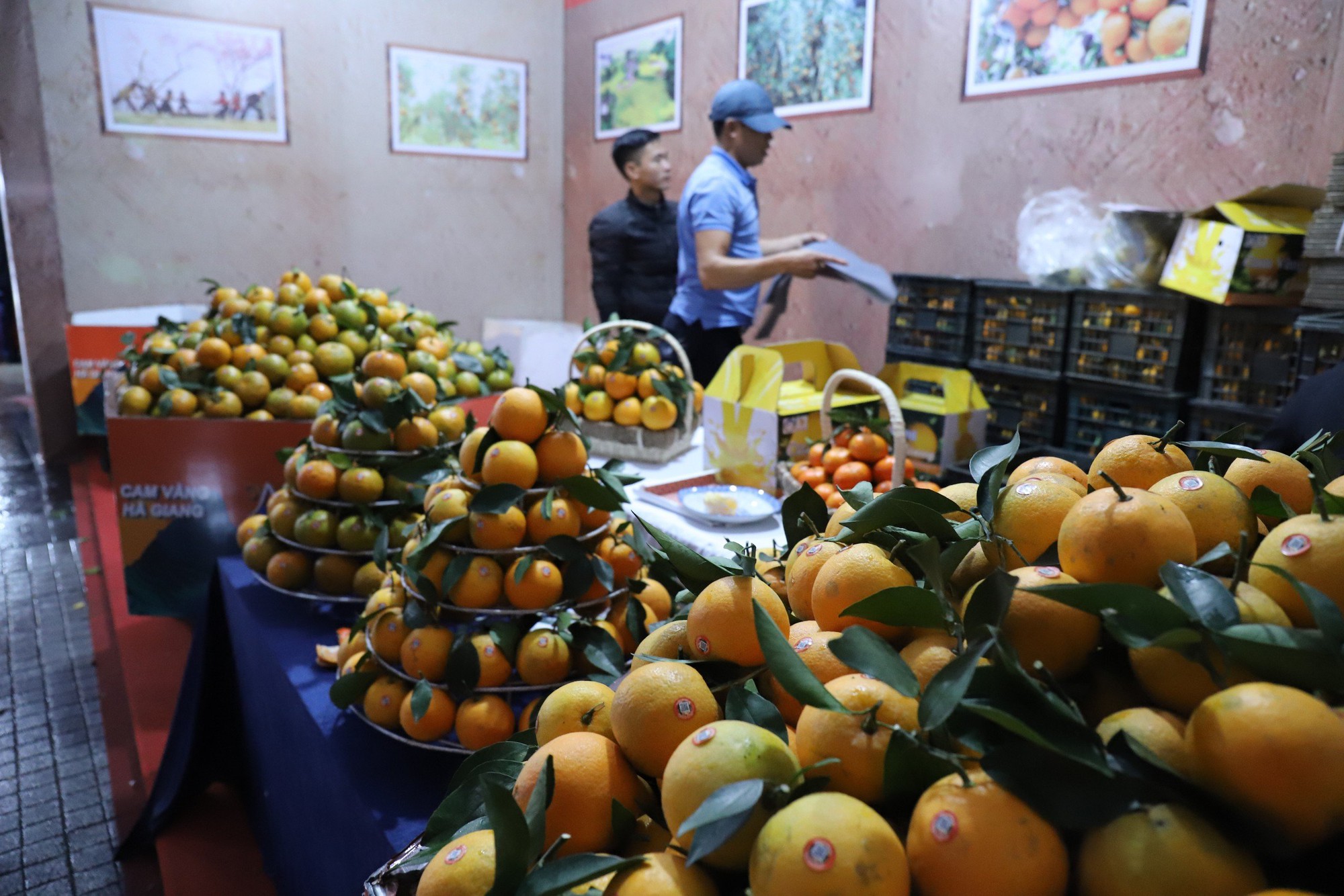 Dự kiến lễ hội cam và các sản phẩm nông nghiệp Hà Tĩnh lần thứ 6 - Ảnh 2.