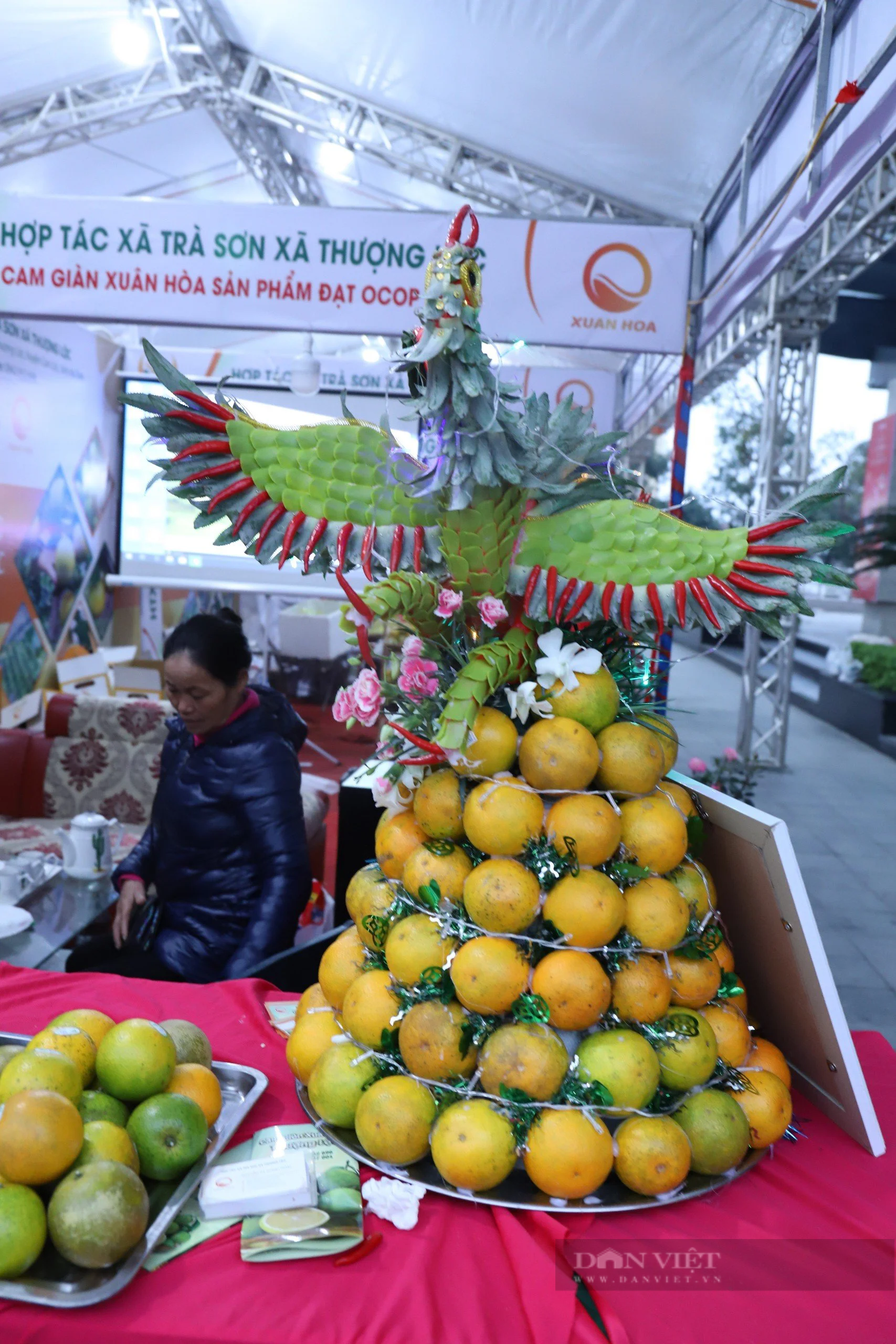 Dự kiến lễ hội cam và các sản phẩm nông nghiệp Hà Tĩnh lần thứ 6 - Ảnh 3.