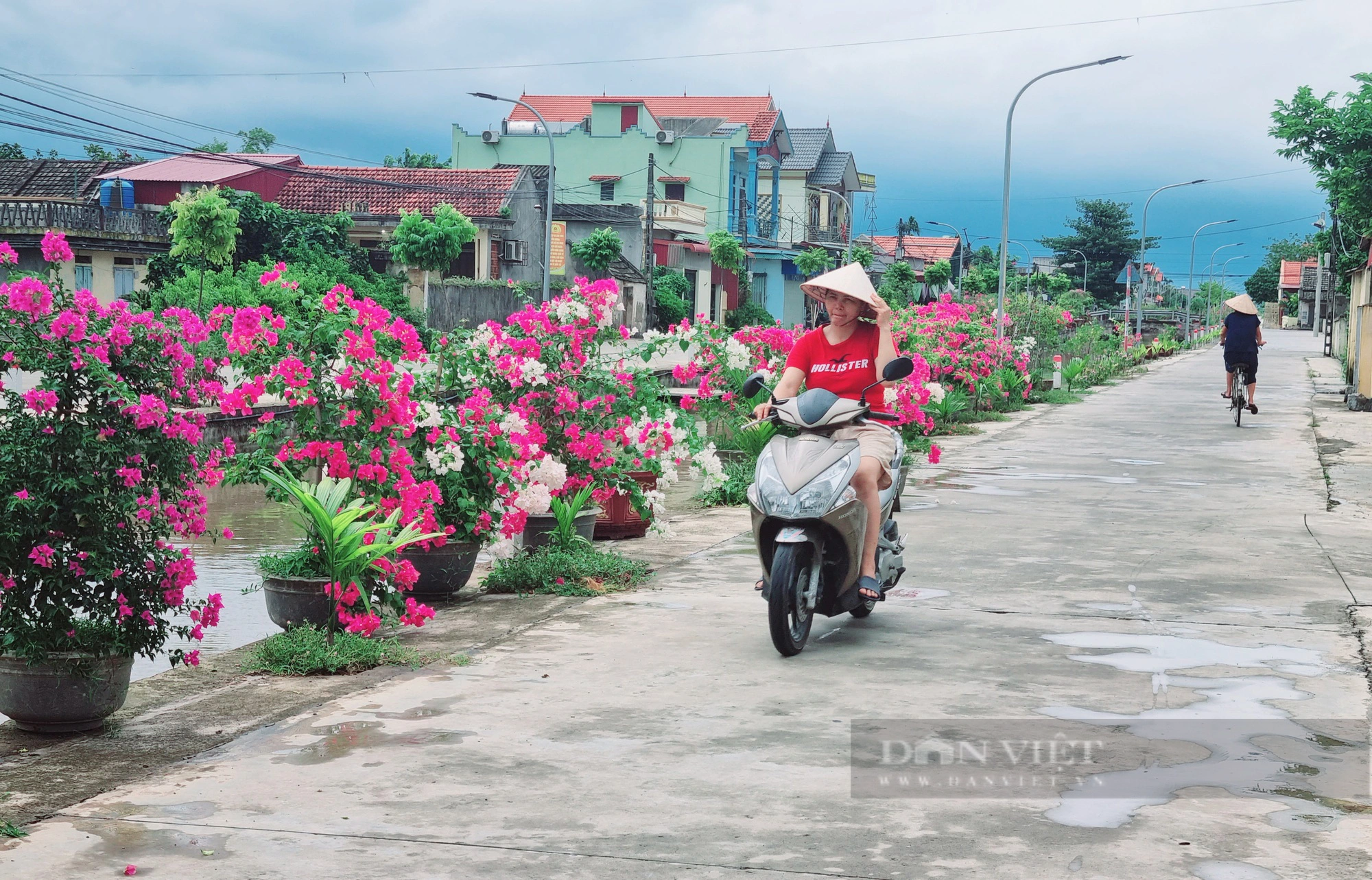 Huyện Kim Sơn đạt chuẩn nông thôn mới, thu nhập nhập bình quân hơn 57 triệu đồng/người/năm  - Ảnh 6.