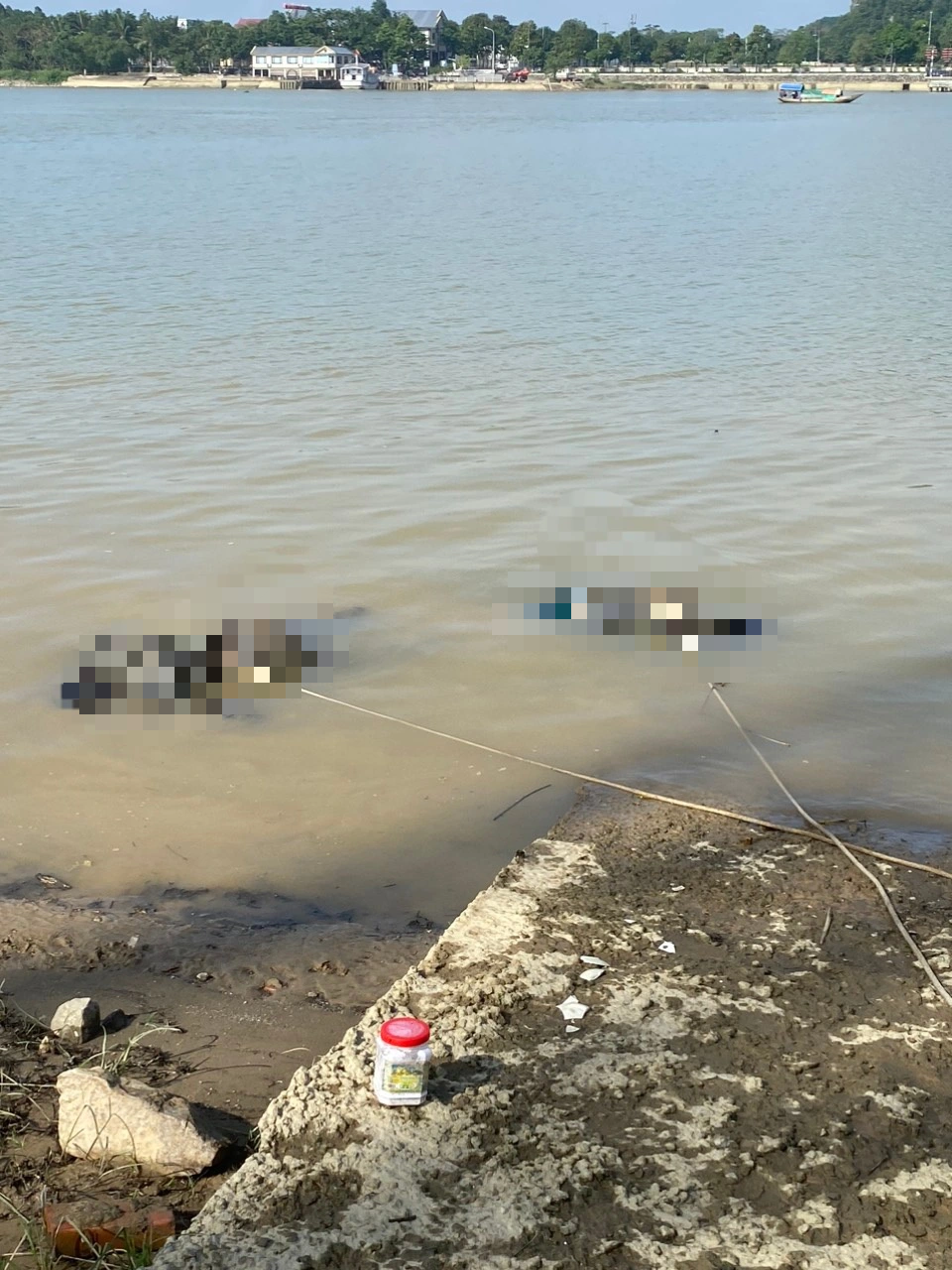 Phát hiện 2 thi thể nam giới tử vong chưa rõ nguyên nhân bên sông Lam - Ảnh 1.
