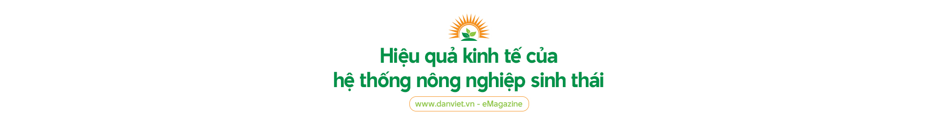 Nông nghiệp sinh thái và lựa chọn của người nông dân - Ảnh 15.