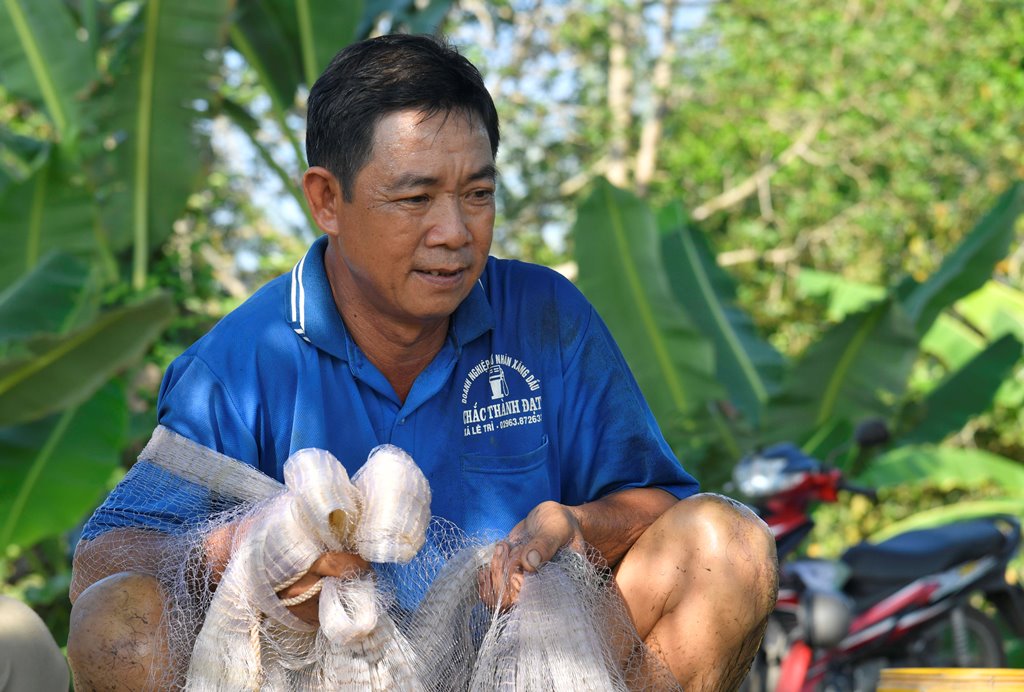 Cận cảnh quăng chài bắt cá kênh nước ở An Giang, mớ cá hủng hỉnh có gì lạ? - Ảnh 1.