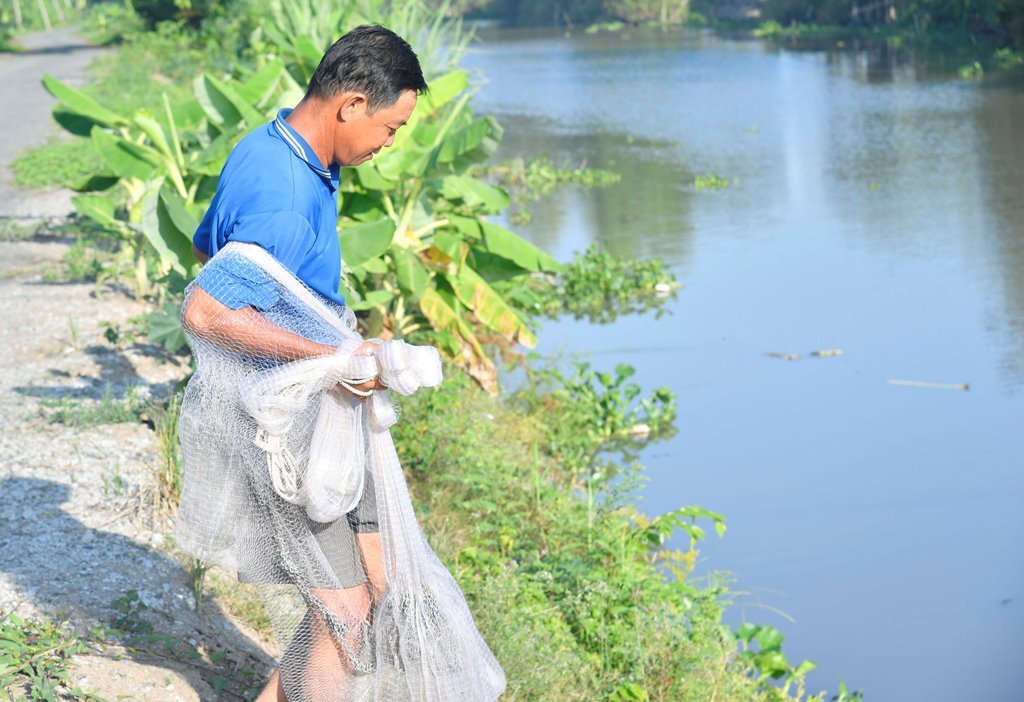 Cận cảnh quăng chài bắt cá kênh nước ở An Giang, mớ cá hủng hỉnh có gì lạ? - Ảnh 4.