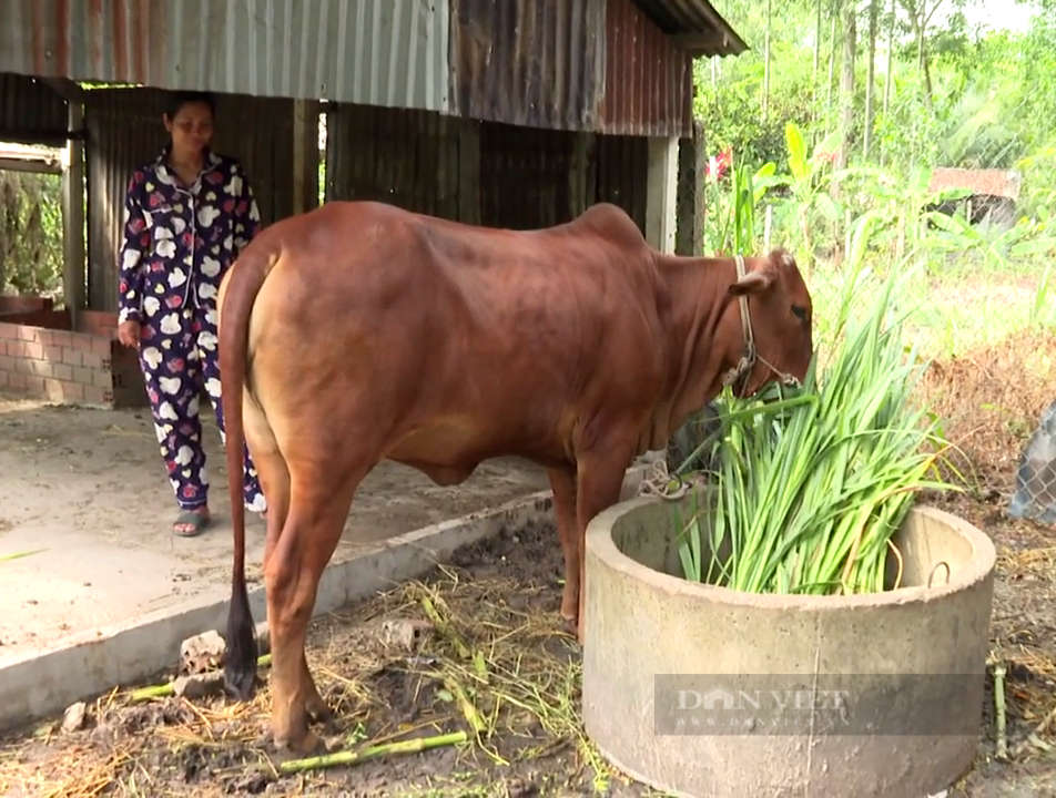 Tây Ninh lồng ghép nhiều mô hình hiệu quả để giảm nghèo đa chiều cho vùng nông thôn - Ảnh 1.