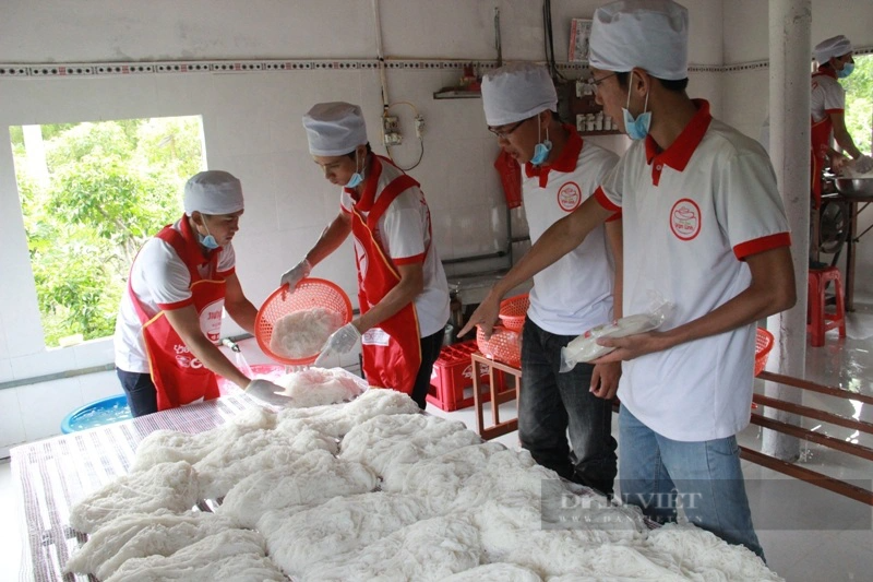 Cất bằng đại học, cao đẳng về nhà tạo thương hiệu bún sạch cho quê hương - Ảnh 2.