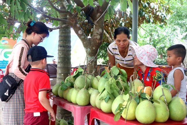 Quảng Nam: Kinh tế vườn, kinh tế trang trại tạo hướng đột phá cho huyện miền núi Nông Sơn - Ảnh 4.
