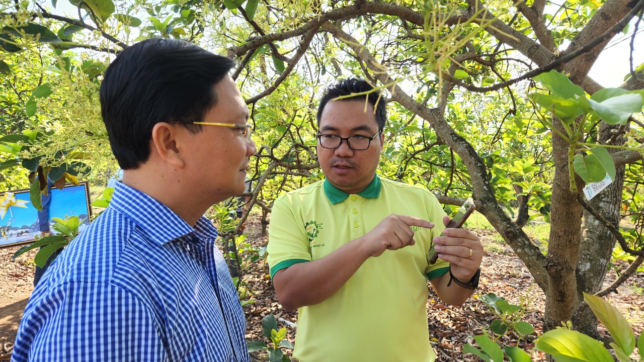 Một HTX tại Bình Phước có toàn bộ thành viên tham gia chuyển đổi số trong sản xuất nông nghiệp - Ảnh 1.