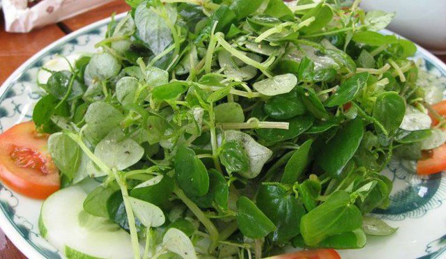 “Thần dược” giúp hỗ trợ điều trị nhiều loại bệnh, hóa ra là loại rau mọc dại này ở Việt Nam - Ảnh 1.