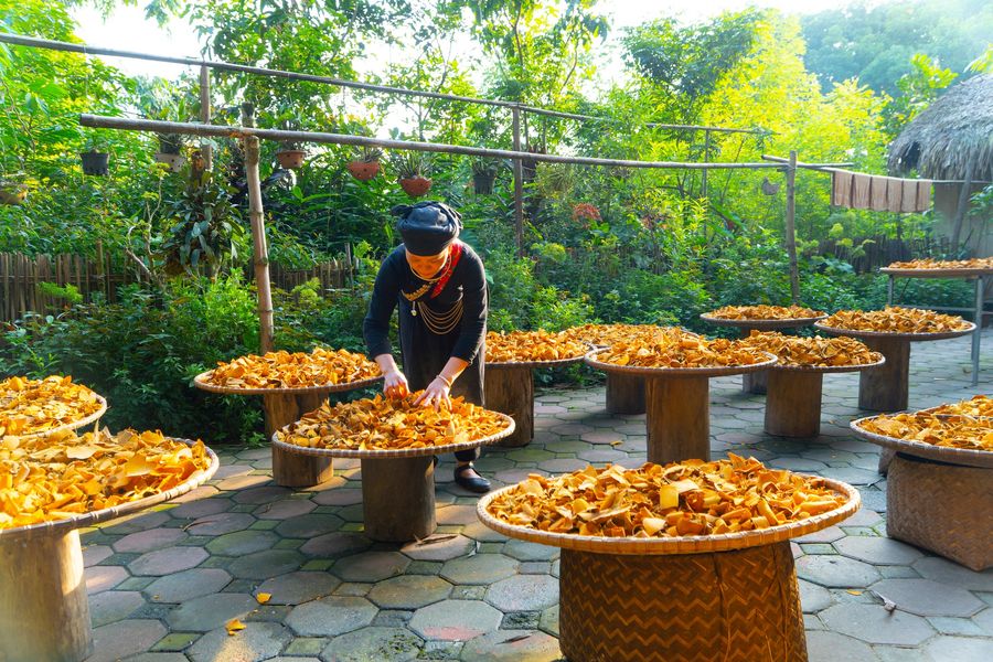 Về Thái Hải - ngôi làng &quot;cổ tích&quot; của người Tày, khu du lịch sinh thái cộng đồng độc nhất vô nhị - Ảnh 4.