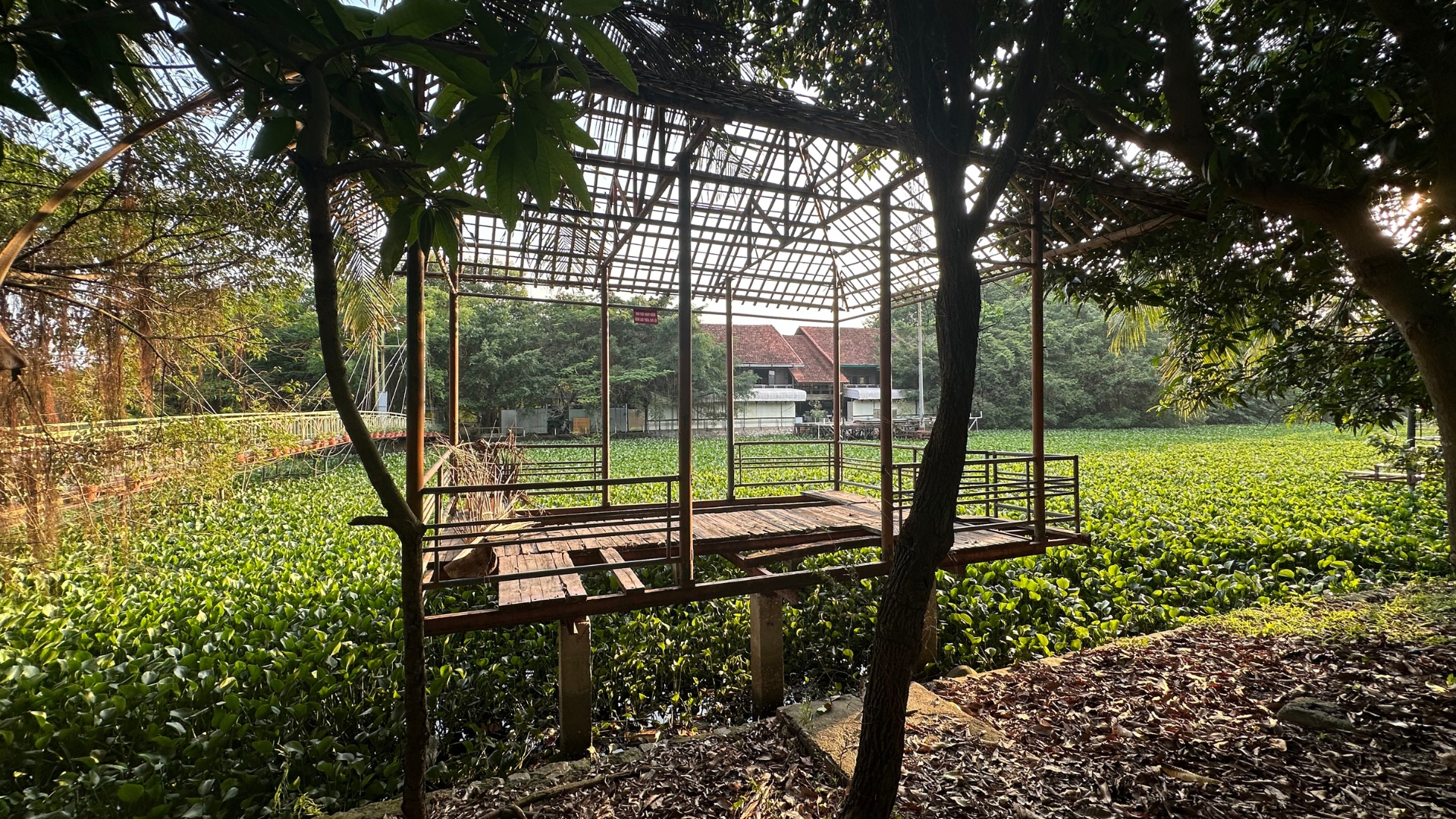 Khu công viên sinh thái rộng hơn 15ha tại Hà Nội: Từ đồ án lý tưởng đến hiện thực phũ phàng - Ảnh 7.