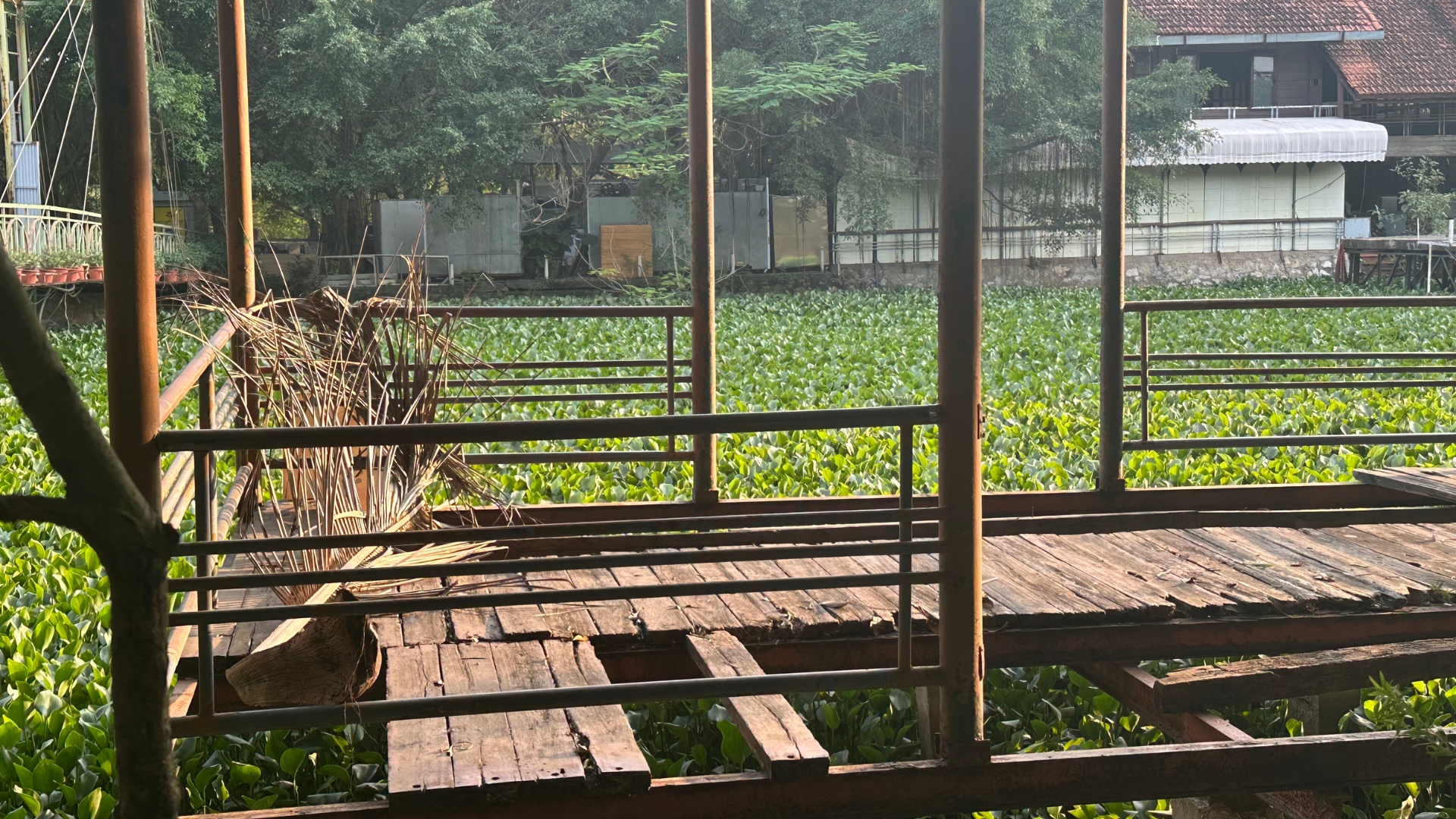 Khu công viên sinh thái rộng hơn 15ha tại Hà Nội: Từ đồ án lý tưởng đến hiện thực phũ phàng - Ảnh 10.