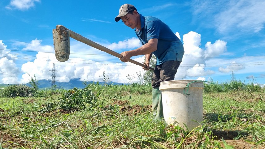 Ở Quảng Ngãi có một nghề rất độc đáo và lạ lẫm, không quá vất vả mà kiếm cả tiền triệu mỗi ngày - Ảnh 4.