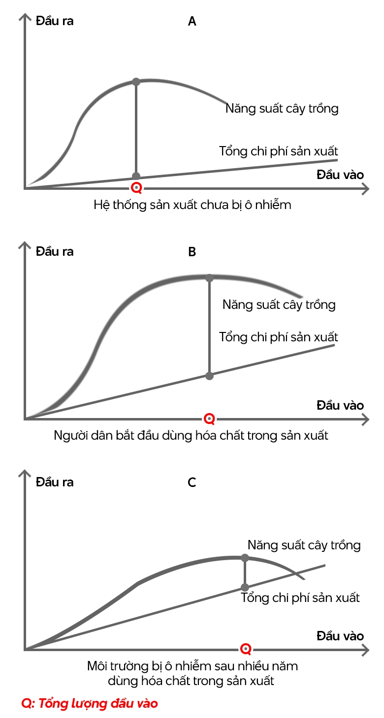 Nông nghiệp sinh thái và lựa chọn của người nông dân - Ảnh 15.