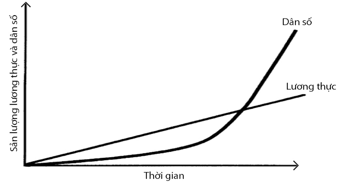 Nông nghiệp sinh thái và lựa chọn của người nông dân - Ảnh 19.