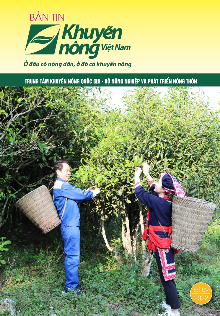 Vietnam Agricultural Extension Newsletter - a favorite publication of farmers nationwide - Photo 2.