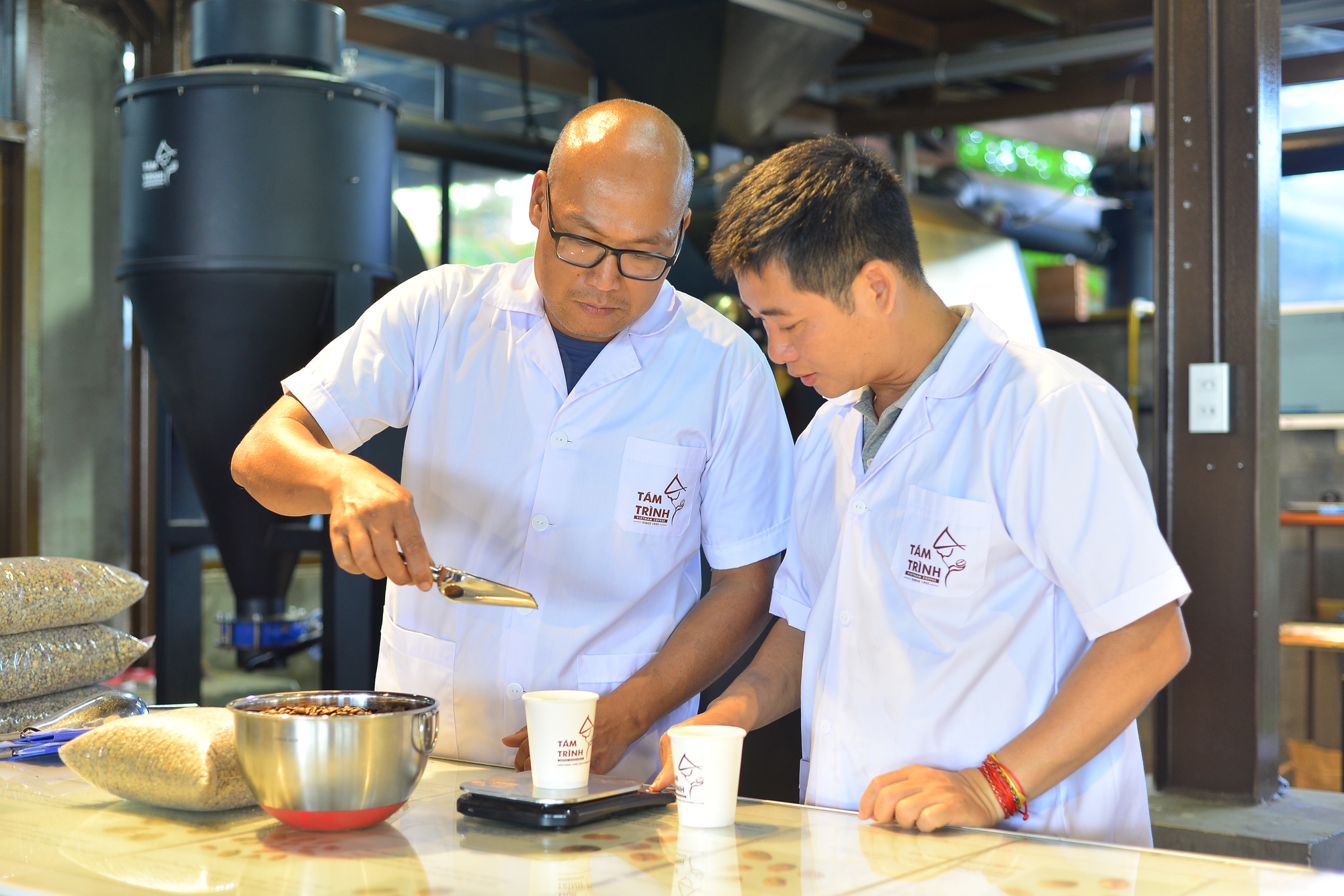 Hái cà phê xanh: Người dân Lâm Đồng mất hàng ngàn tỷ, “thiệt đơn thiệt kép” - Ảnh 2.