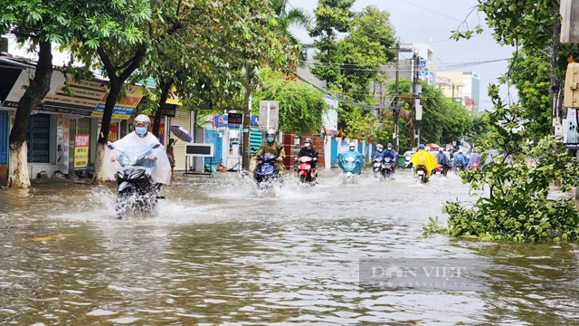 Núi sạt lở, cầu đường ngập sâu vì mưa lớn, tỉnh Quảng Ngãi ra công điện chỉ đạo ứng phó - Ảnh 3.