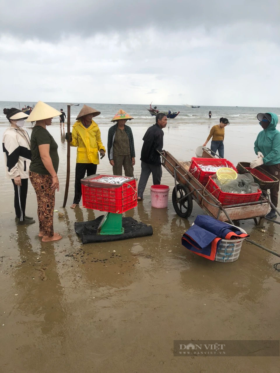 Hà Tĩnh: Hàng trăm ngư dân trúng mẻ cá hố, cá đù lớn thu về tiền triệu mỗi ngày - Ảnh 2.