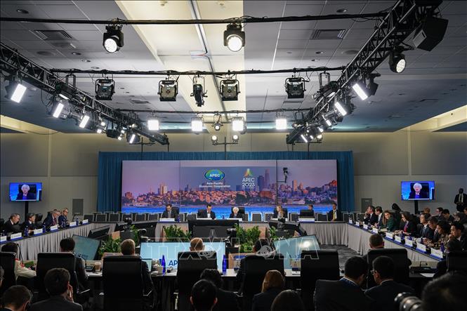 APEC 2023: Diễn đàn chia sẻ chiến lược giảm phát thải carbon - Ảnh 1.