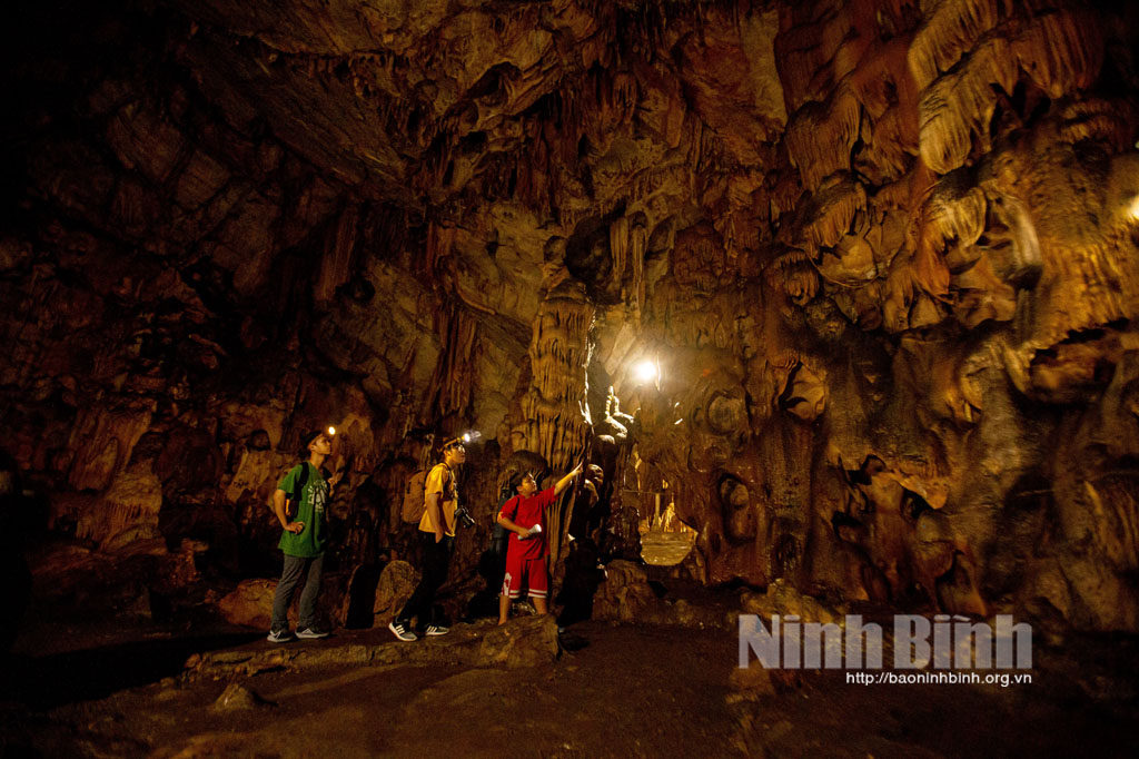 Một hang động rộng hơn 3.500m2 ở Ninh Bình, tạo hóa tự vẽ nên những bức phù điêu kỳ lạ bằng thạch nhũ - Ảnh 6.