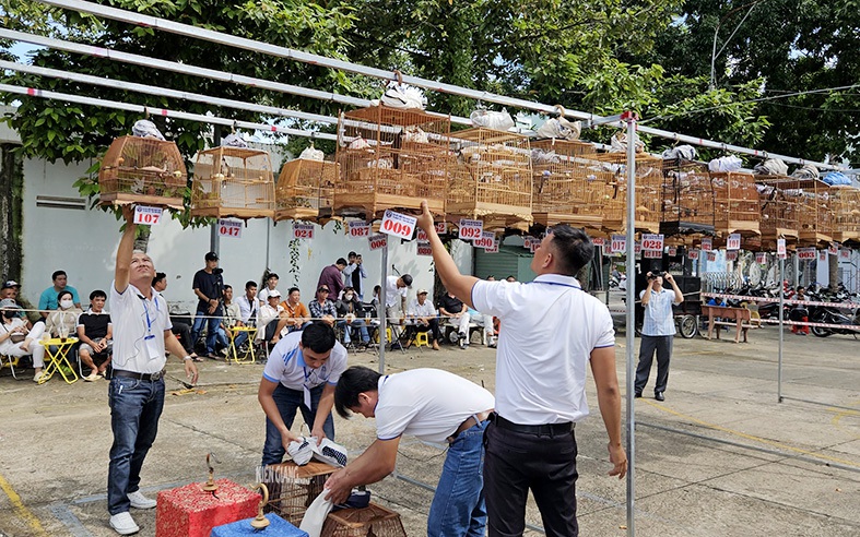 Nhà tài trợ của một cuộc thi hoa hậu là nhãn hàng cám chim- Ảnh 2.