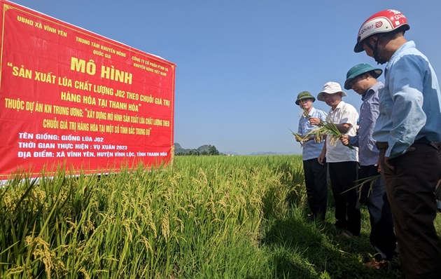 Thanh Hóa đầu tư hơn 13,5 tỷ đồng thực hiện chương trình khuyến nông năm 2024 - Ảnh 1.