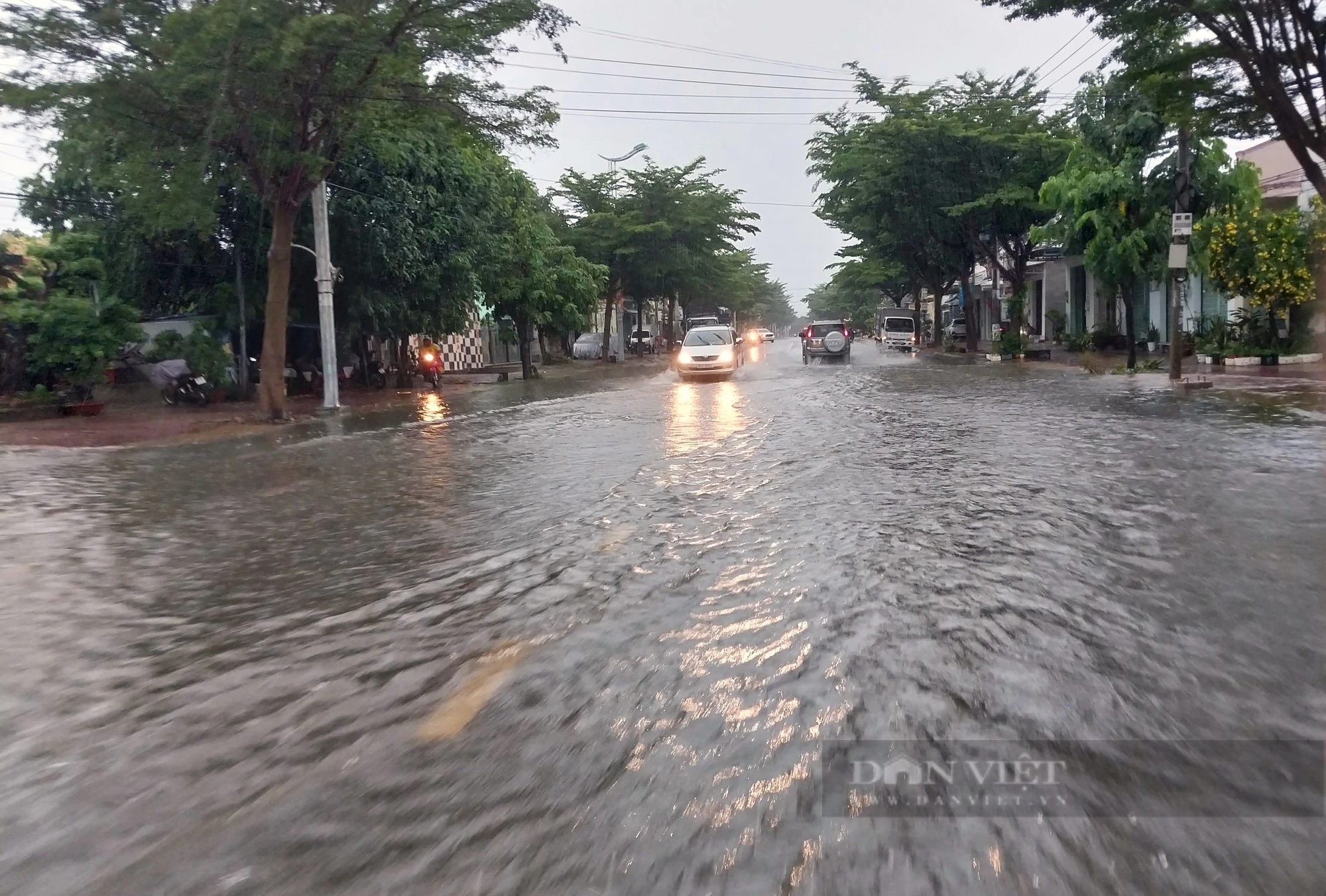 Mưa lớn sáng 15/11 khiến nhiều tuyến đường ở TP Phan Rang - Tháp Chàm ngập trong biển nước - Ảnh 6.