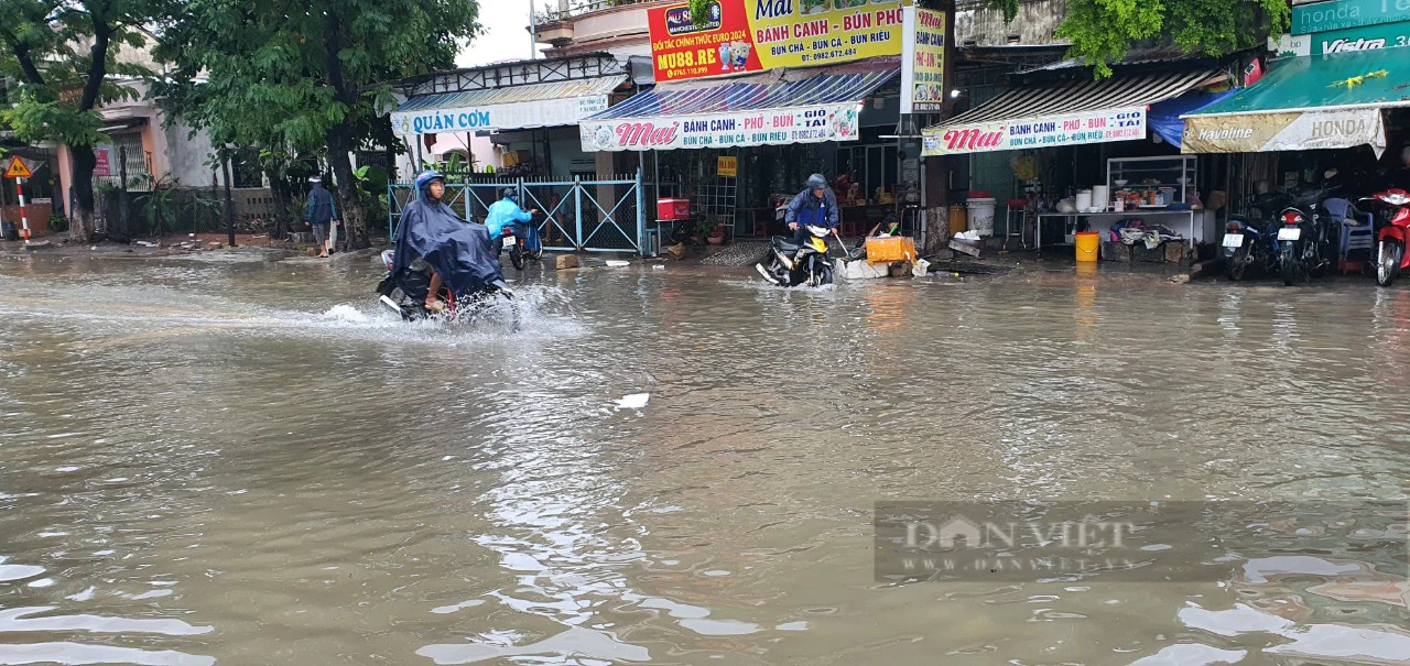 Mưa lớn, nhiều khu vực ở Khánh Hòa bị ngập - Ảnh 2.