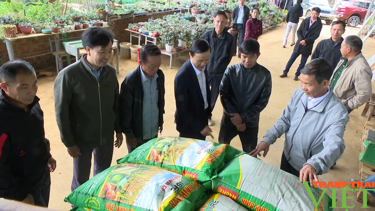 Nông dân tỉnh Sơn La hỗ trợ hội viên 45 tấn phân bón phục vụ sản xuất - Ảnh 2.