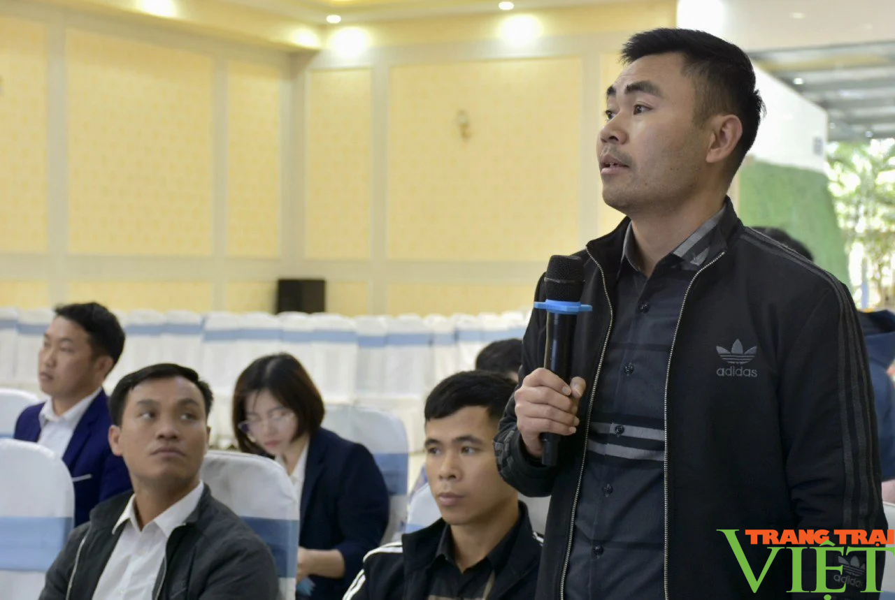 Hội Nông dân tỉnh Lào Cai: Nâng cao kỹ năng xây dựng kế hoạch, quy trình giám sát, phản biện xã hội - Ảnh 3.
