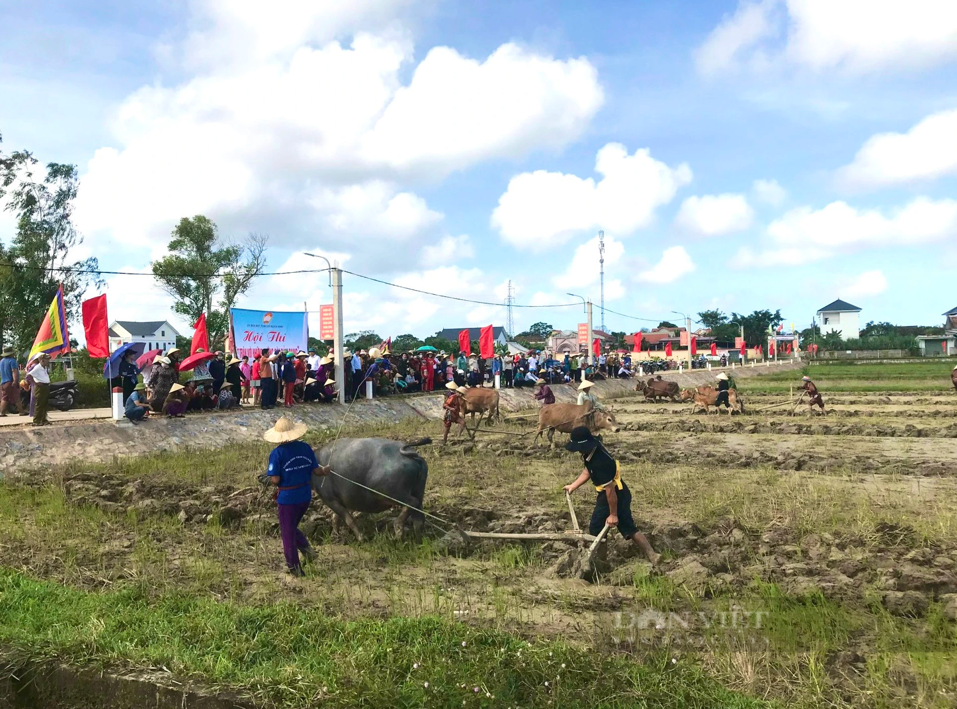 Quảng Bình: Xem các &quot;lão tướng&quot; thi cày ruộng, đường cày nào cũng đẹp, thẳng tắp - Ảnh 5.