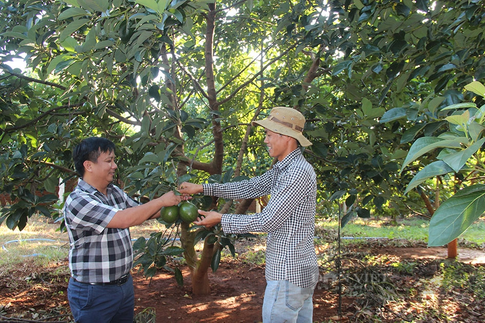 TP Buôn Ma Thuột: Không có điểm dừng trong xây dựng nông thôn mới nâng cao - Ảnh 2.