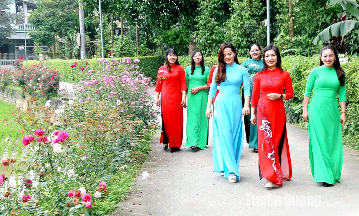 Đẹp mê tơi con đường hoa mười giờ, hoa hồng, hoa chiều tím ở các xã nông thôn mới của Tuyên Quang - Ảnh 1.