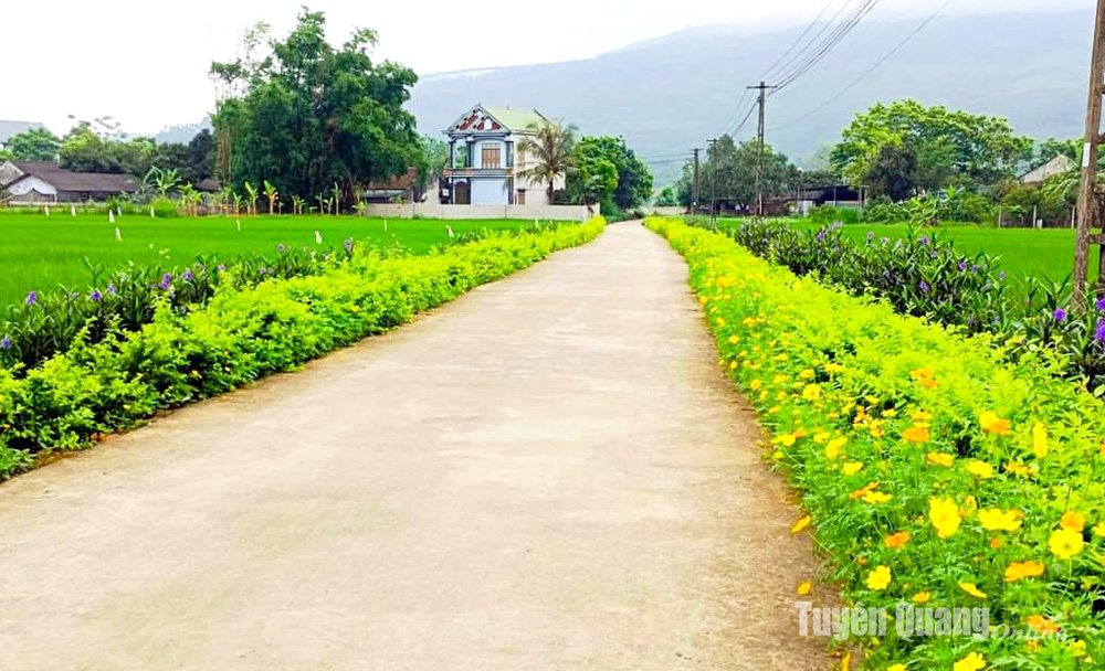 Đẹp mê tơi con đường hoa mười giờ, hoa hồng, hoa chiều tím ở các xã nông thôn mới của Tuyên Quang - Ảnh 6.