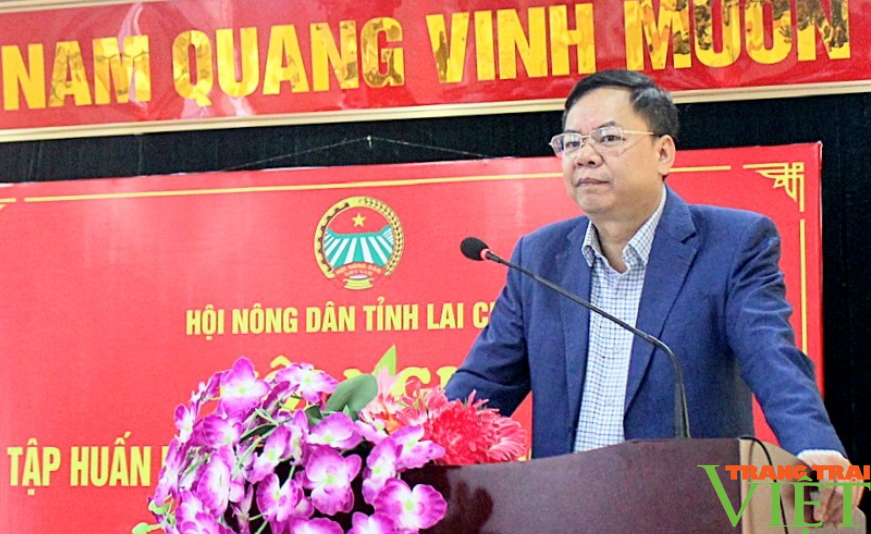 Hội Nông dân tỉnh Lai Châu: Tập huấn nâng cao nghiệp vụ công tác Hội - Ảnh 2.