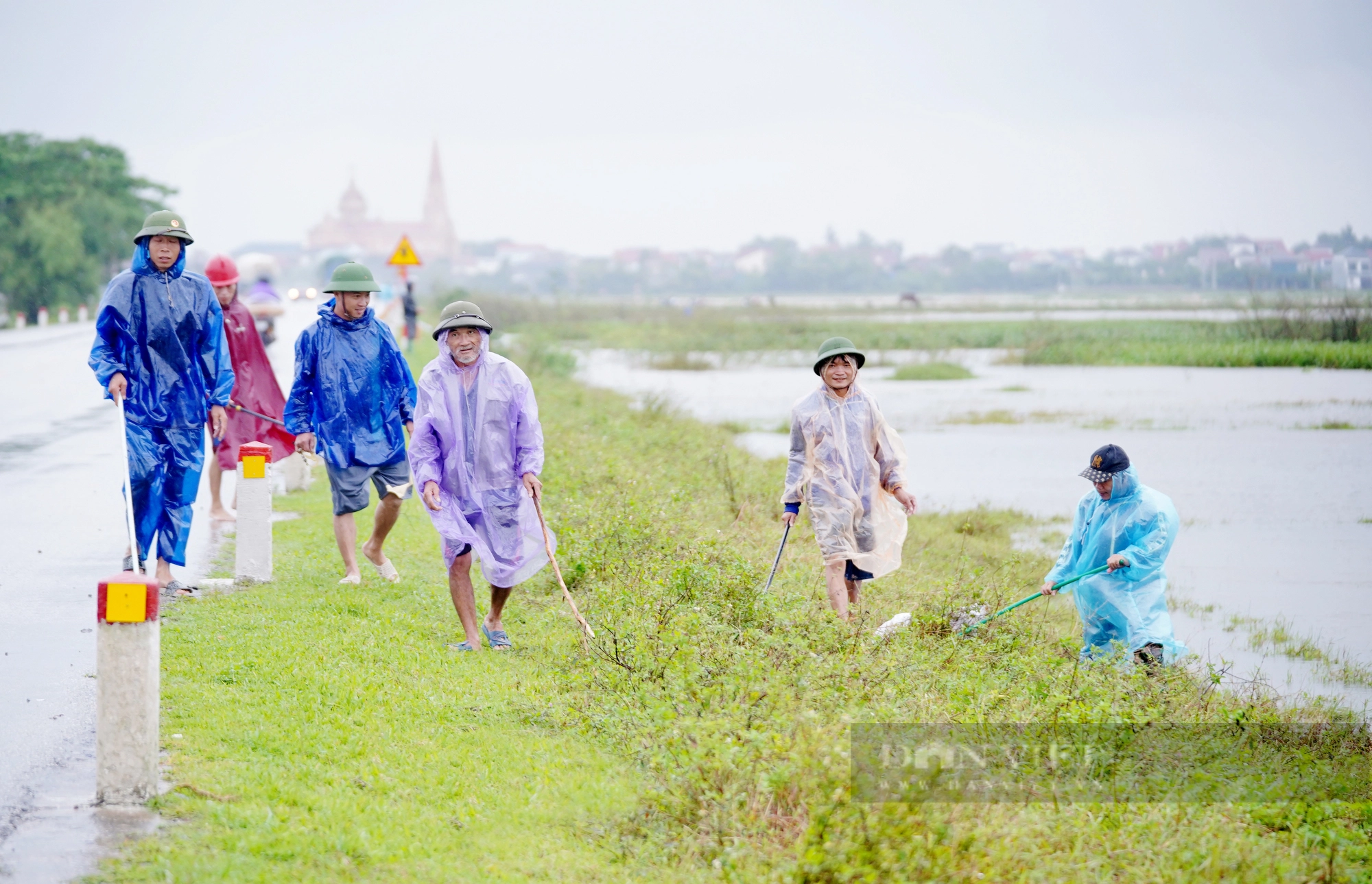 Cả làng ở Hà Tĩnh “đội mưa” cùng nhau lội nước đi bắt chuột bảo vệ mùa màng - Ảnh 2.