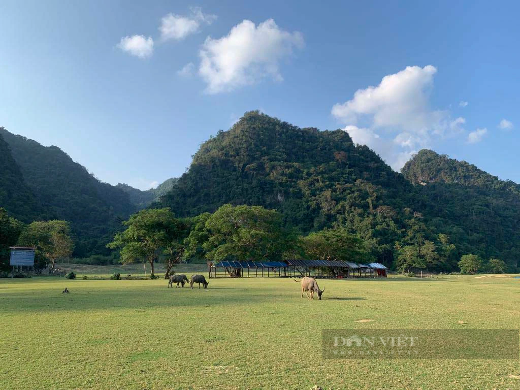 Cách Hà Nội 2 tiếng di chuyển, có một thảo nguyên rộng lớn, du khách đến là mê, chẳng muốn về! - Ảnh 4.