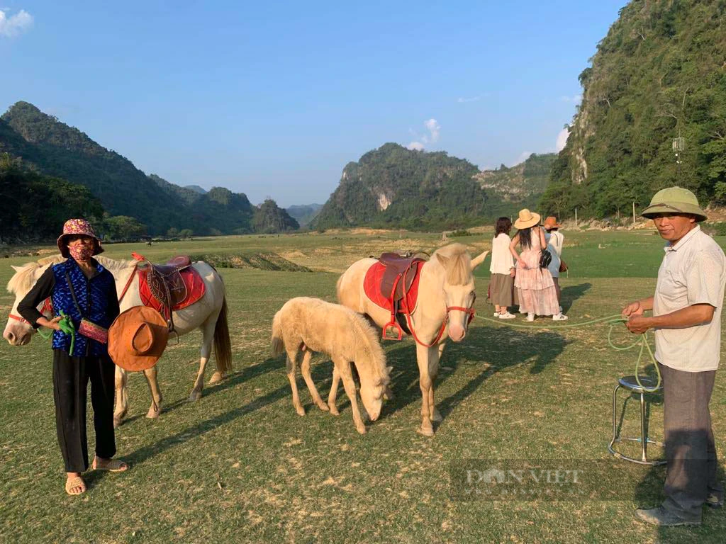 Cách Hà Nội 2 tiếng di chuyển, có một thảo nguyên rộng lớn, du khách đến là mê, chẳng muốn về! - Ảnh 10.