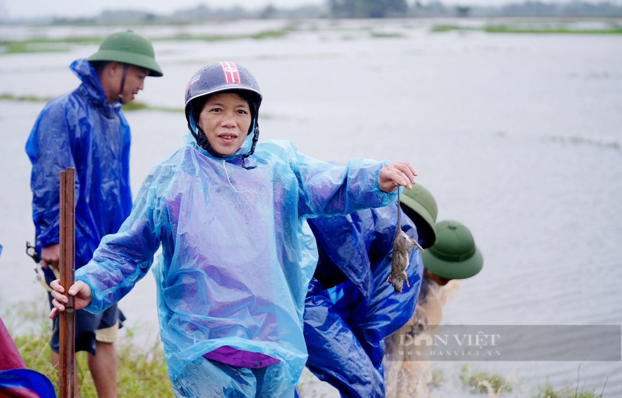 Cả làng ở Hà Tĩnh “đội mưa” cùng nhau lội nước đi bắt chuột bảo vệ mùa màng - Ảnh 10.