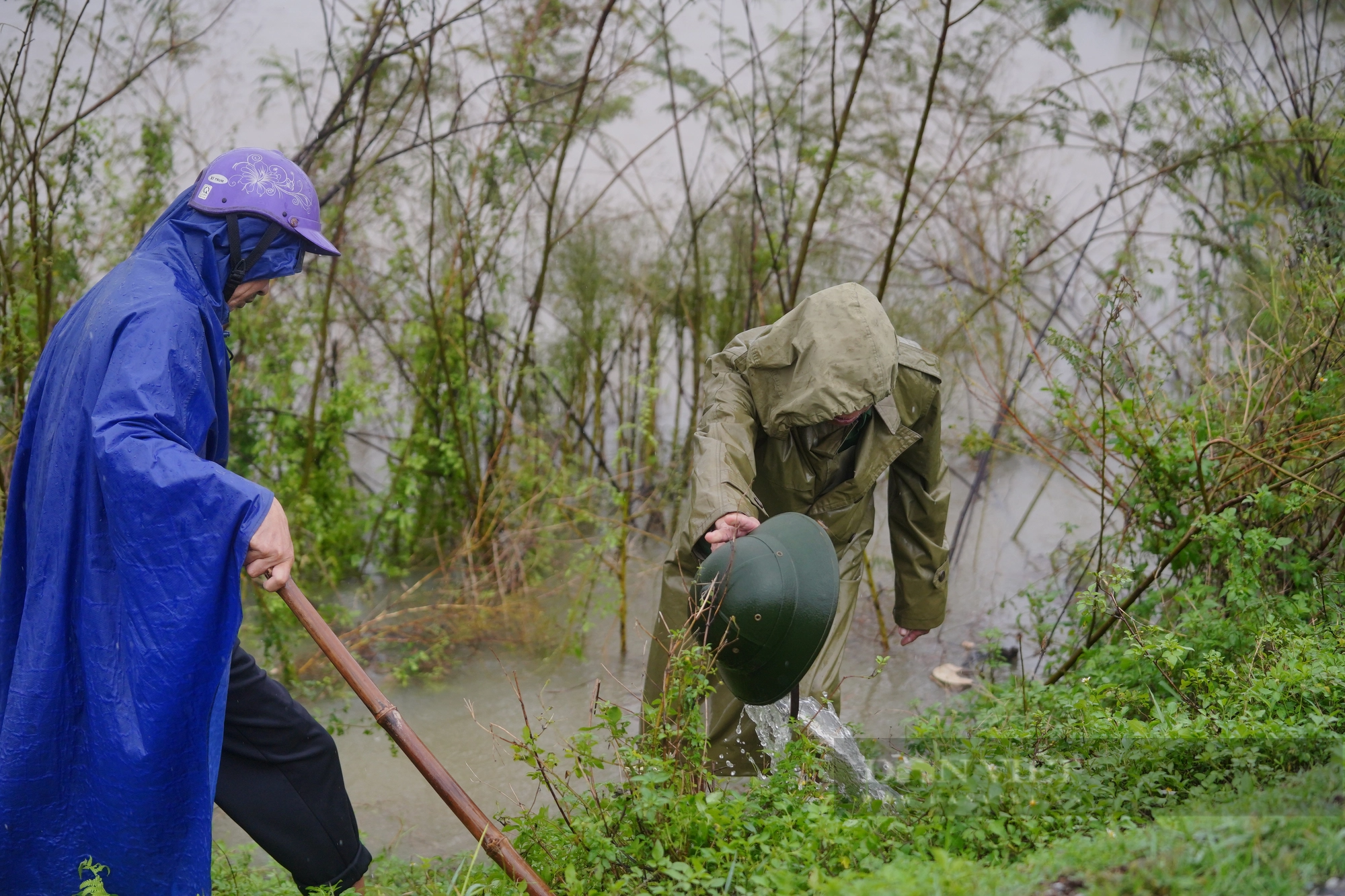 Cả làng ở Hà Tĩnh “đội mưa” cùng nhau lội nước đi bắt chuột bảo vệ mùa màng - Ảnh 13.