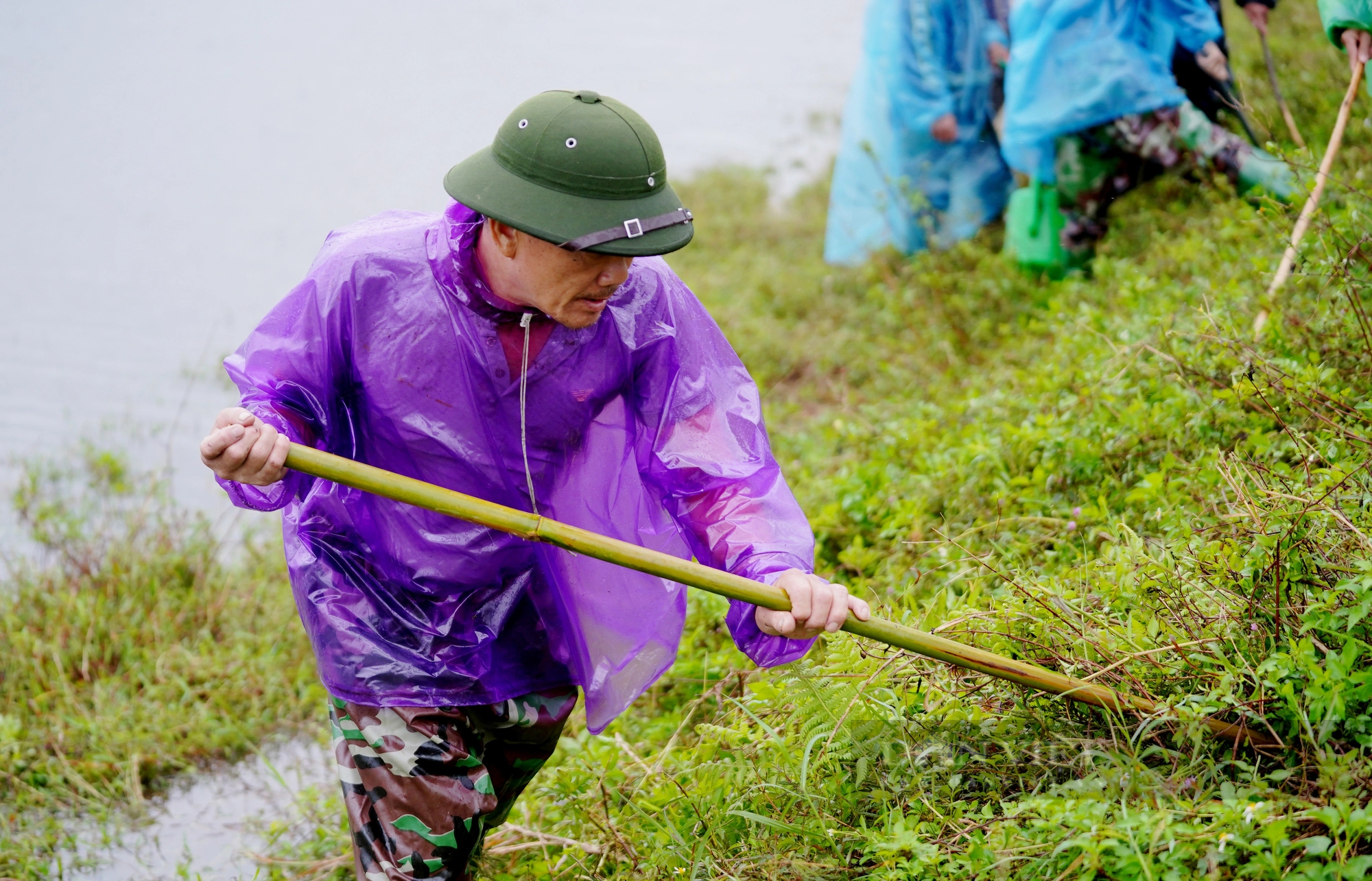 Cả làng ở Hà Tĩnh “đội mưa” cùng nhau lội nước đi bắt chuột bảo vệ mùa màng - Ảnh 14.