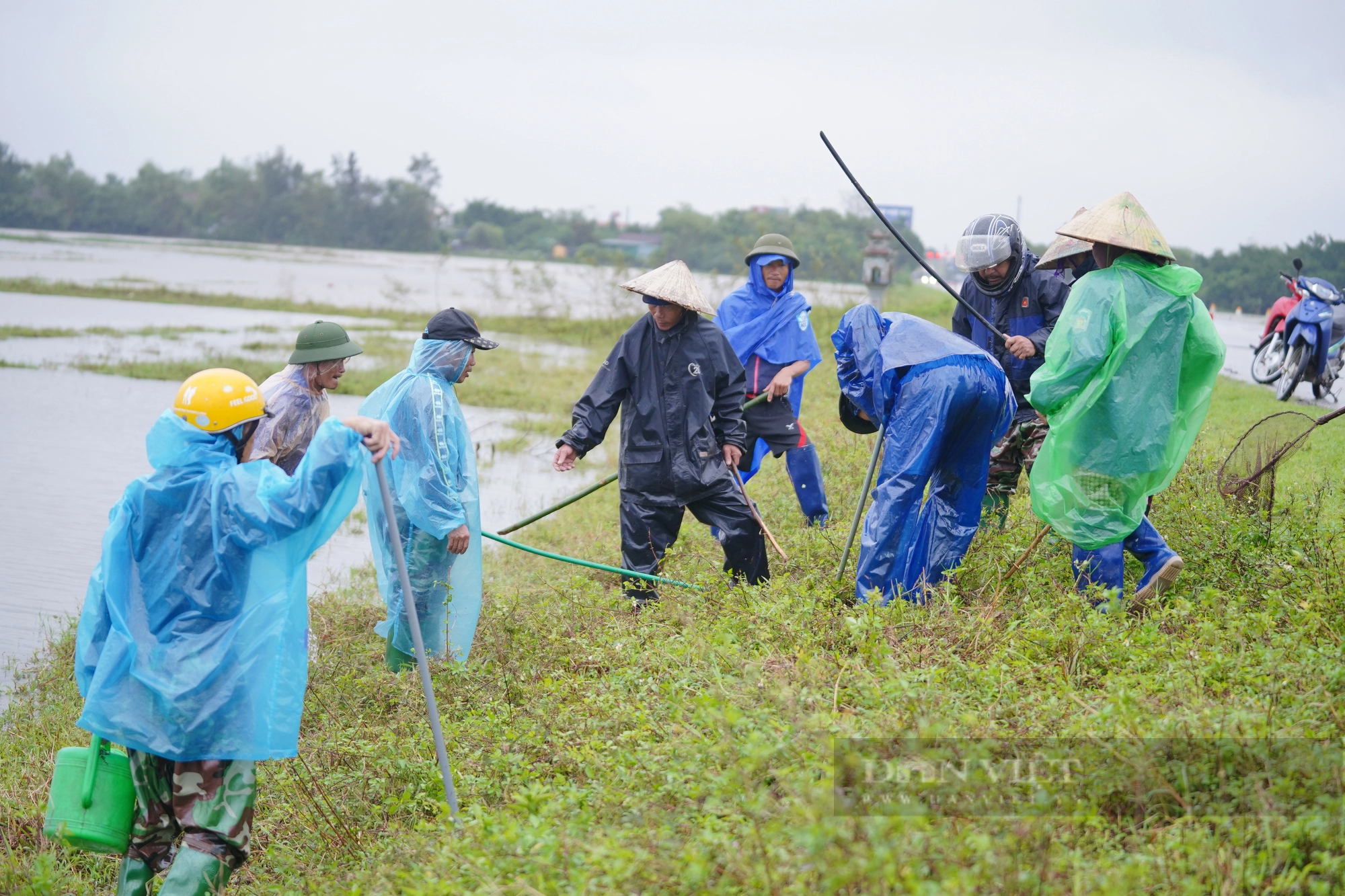 Cả làng ở Hà Tĩnh “đội mưa” cùng nhau lội nước đi bắt chuột bảo vệ mùa màng - Ảnh 15.