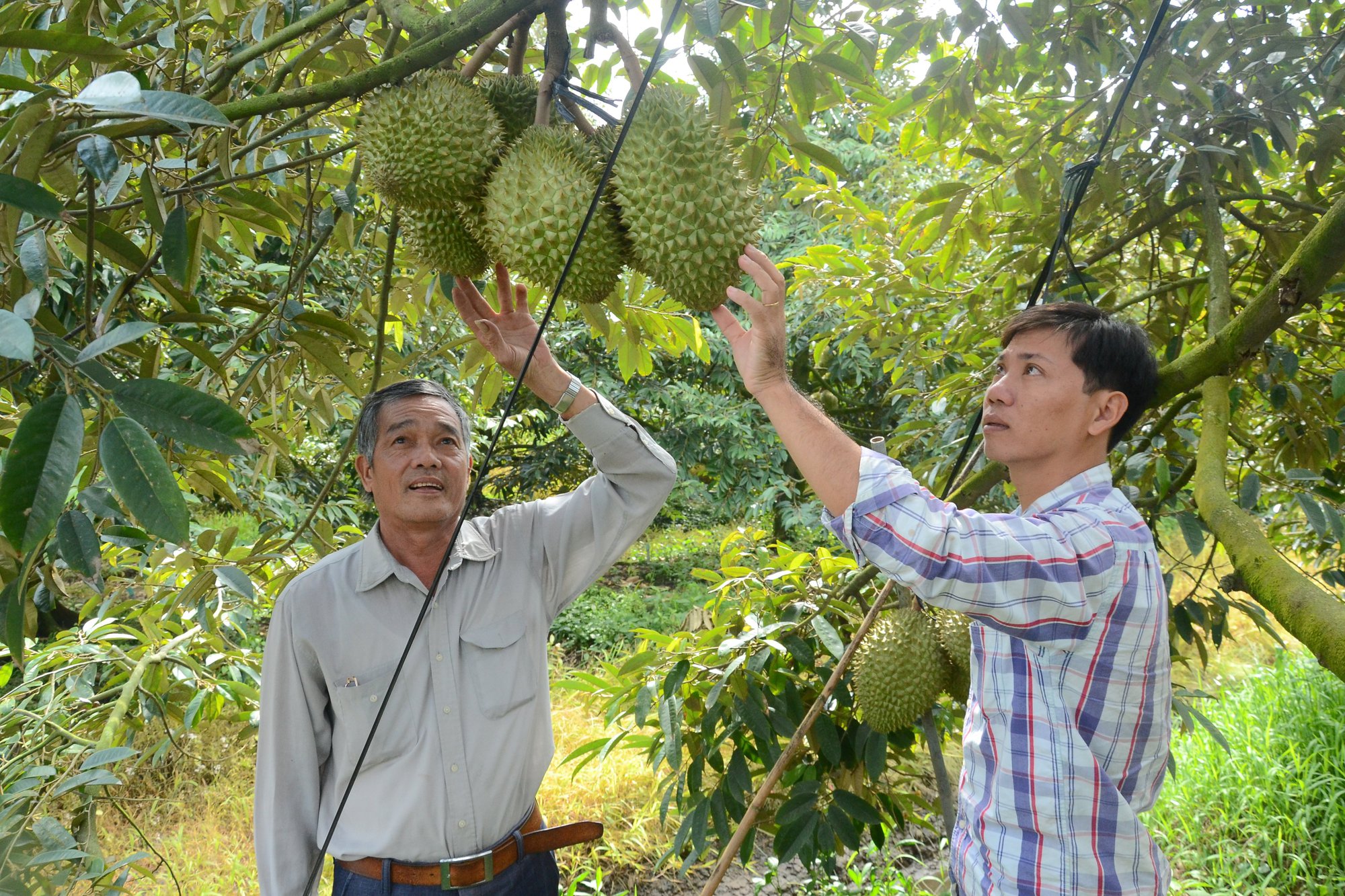 Bộ trưởng LĐTBXH Đào Ngọc Dung: Chương trình giảm nghèo không còn chính sách &quot;cho không&quot; - Ảnh 3.