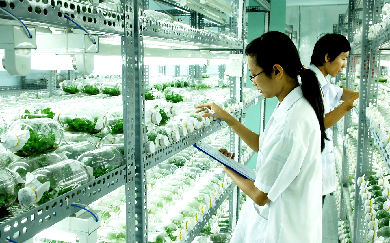 TP.HCM đào tạo nguồn nhân lực khoa học cho nông nghiệp đô thị - Ảnh 1.